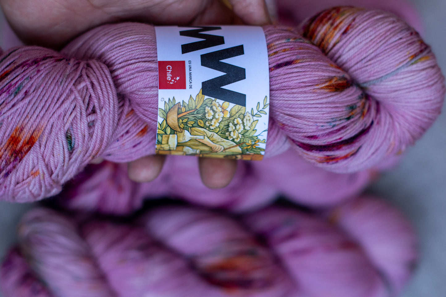 Flechazo de las Rosas