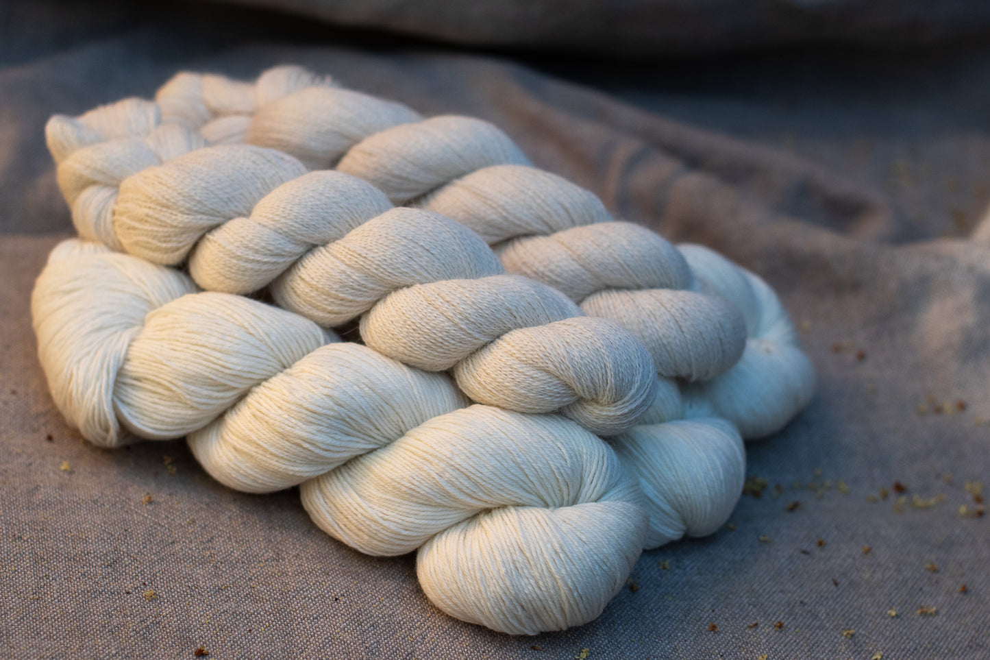 Flechazo de la Nieve